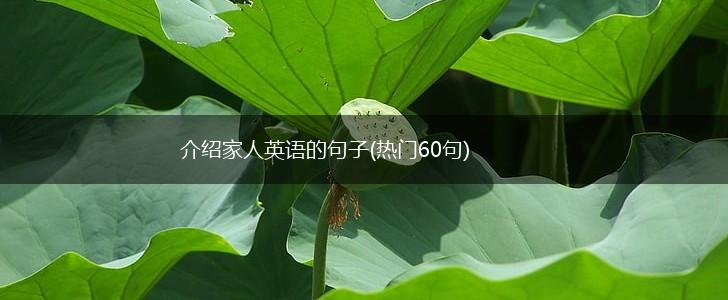 介绍家人英语的句子(热门60句),第1张