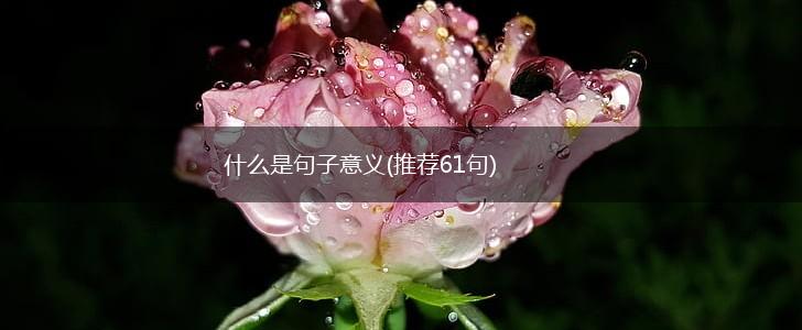什么是句子意义(推荐61句),第1张