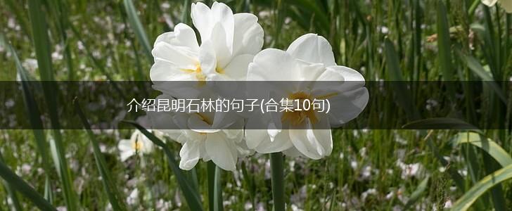 介绍昆明石林的句子(合集10句),第1张