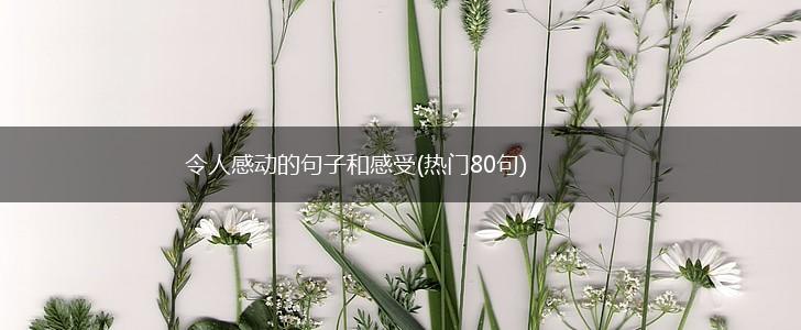 令人感动的句子和感受(热门80句),第1张