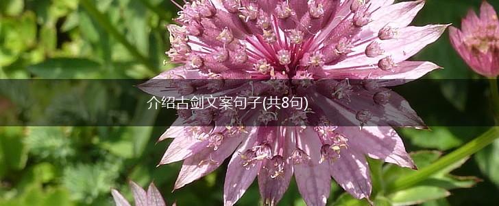 介绍古剑文案句子(共8句),第1张
