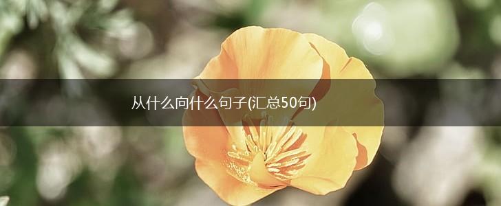 从什么向什么句子(汇总50句),第1张