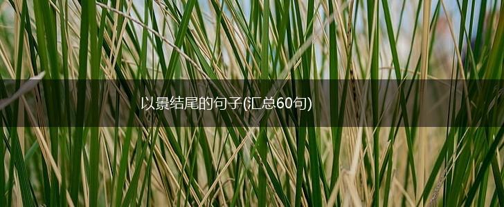 以景结尾的句子(汇总60句),第1张