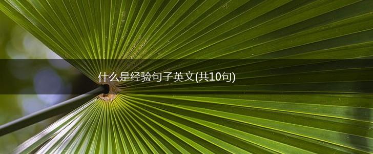什么是经验句子英文(共10句),第1张