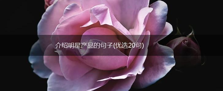 介绍明星产品的句子(优选20句),第1张