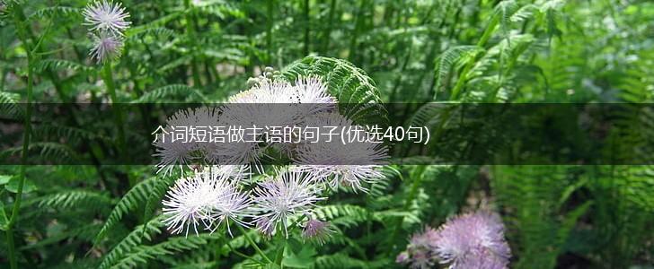 介词短语做主语的句子(优选40句),第1张