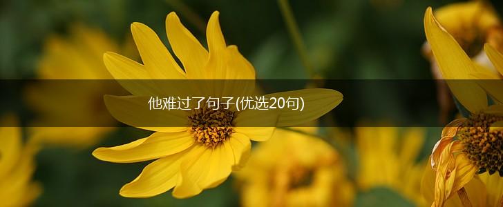 他难过了句子(优选20句),第1张