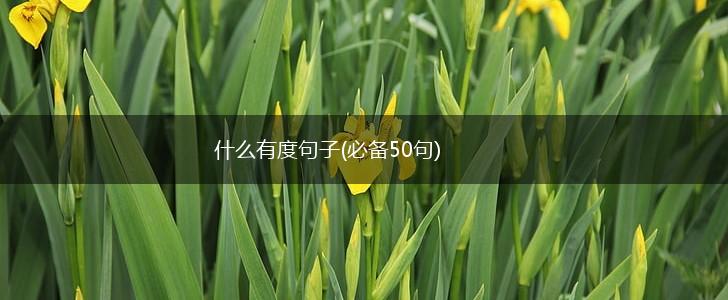 什么有度句子(必备50句),第1张