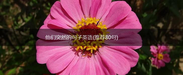 他们突然的句子英语(推荐80句),第1张