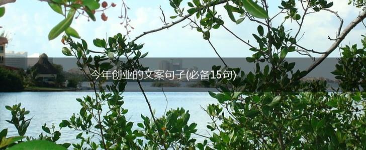 今年创业的文案句子(必备15句),第1张