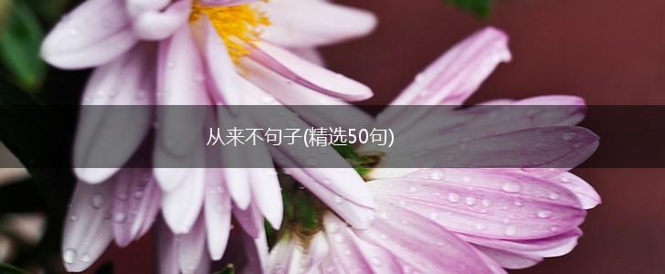 从来不句子(精选50句),第1张
