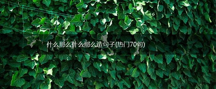 什么那么什么那么造句子(热门70句),第1张