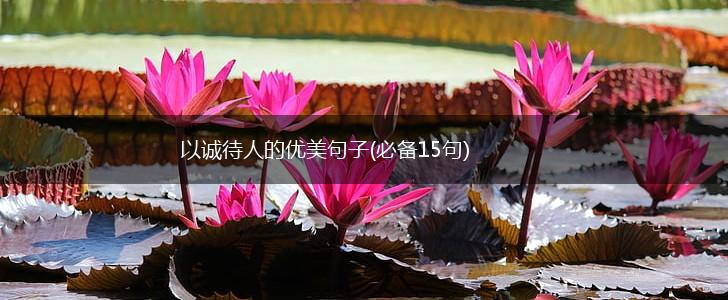 以诚待人的优美句子(必备15句),第1张
