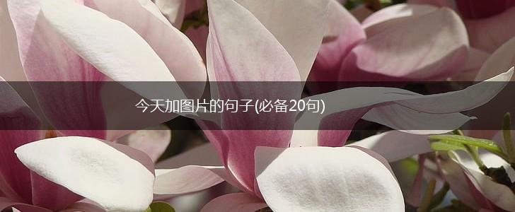 今天加图片的句子(必备20句),第1张