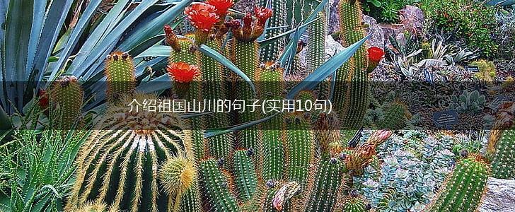 介绍祖国山川的句子(实用10句),第1张