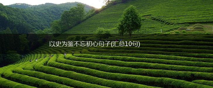 以史为鉴不忘初心句子(汇总10句),第1张