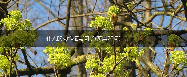 仆人的动作描写句子(实用20句),第1张