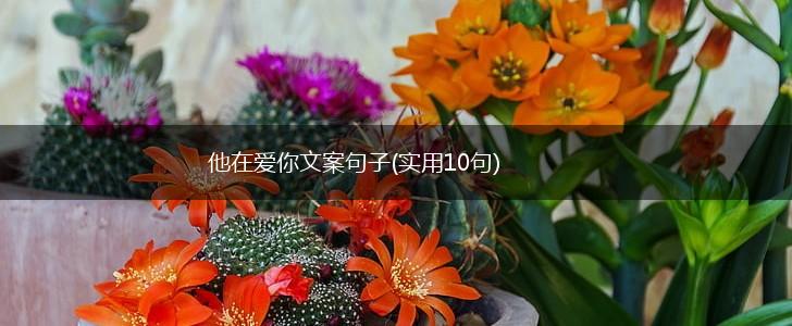 他在爱你文案句子(实用10句),第1张