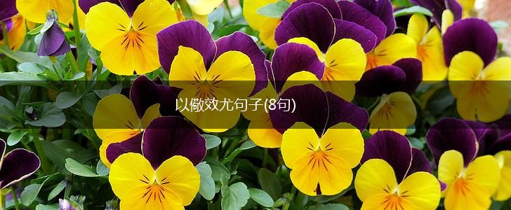 以儆效尤句子(8句),第1张