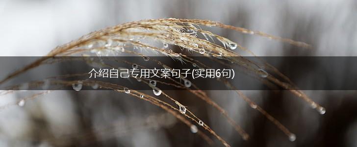 介绍自己专用文案句子(实用6句),第1张