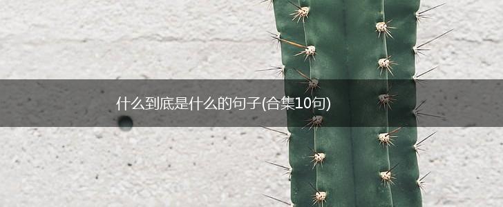 什么到底是什么的句子(合集10句),第1张