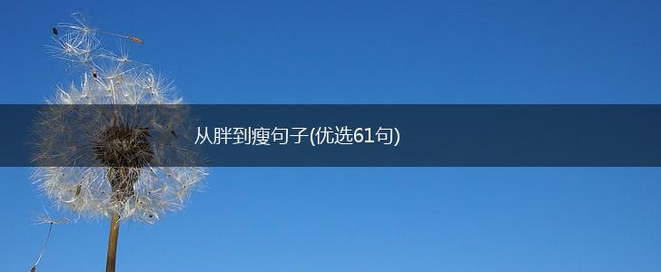从胖到瘦句子(优选61句),第1张
