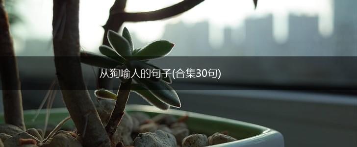 从狗喻人的句子(合集30句),第1张