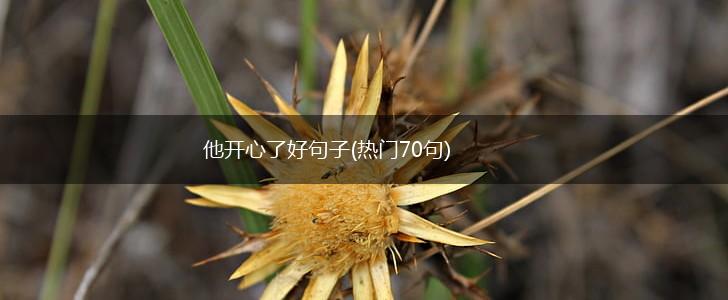 他开心了好句子(热门70句),第1张