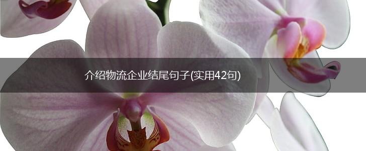 介绍物流企业结尾句子(实用42句),第1张