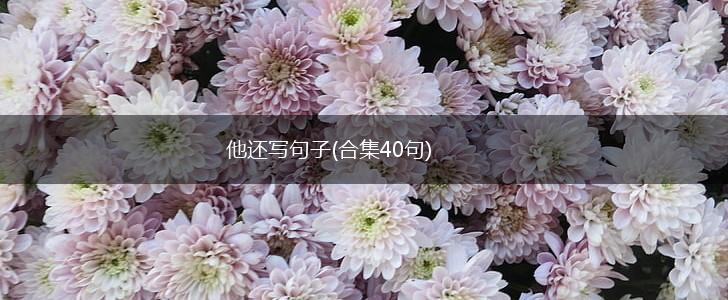 他还写句子(合集40句),第1张