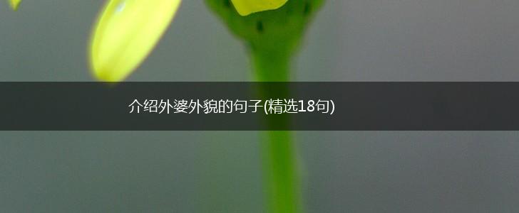 介绍外婆外貌的句子(精选18句),第1张