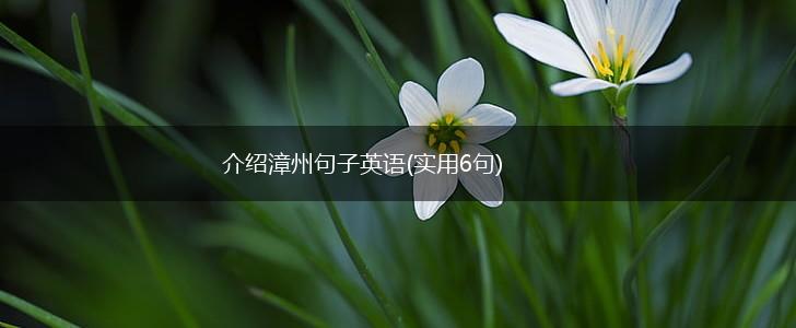 介绍漳州句子英语(实用6句),第1张