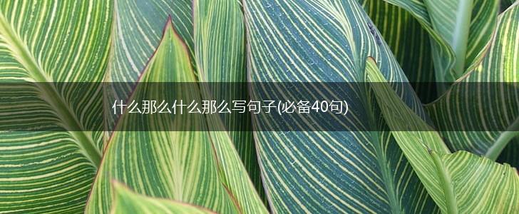 什么那么什么那么写句子(必备40句),第1张