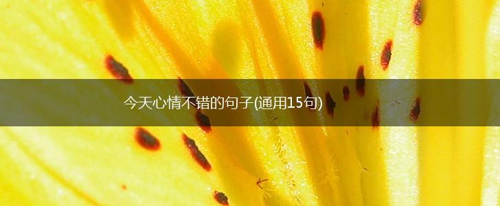今天心情不错的句子(通用15句),第1张