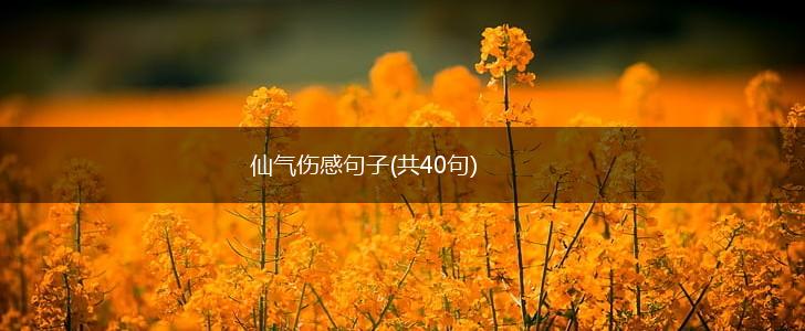 仙气伤感句子(共40句),第1张