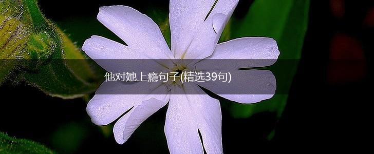 他对她上瘾句子(精选39句),第1张