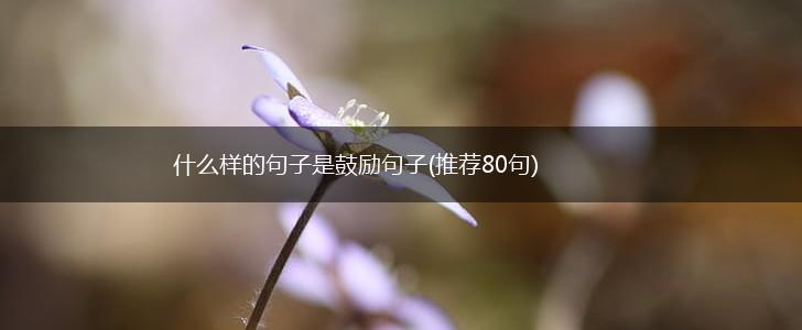 什么样的句子是鼓励句子(推荐80句),第1张