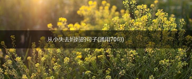 从小失去妈妈的句子(通用70句),第1张