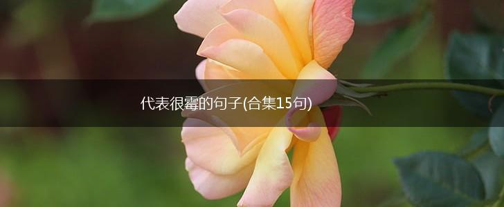 代表很霉的句子(合集15句),第1张