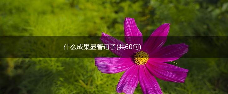 什么成果显著句子(共60句),第1张