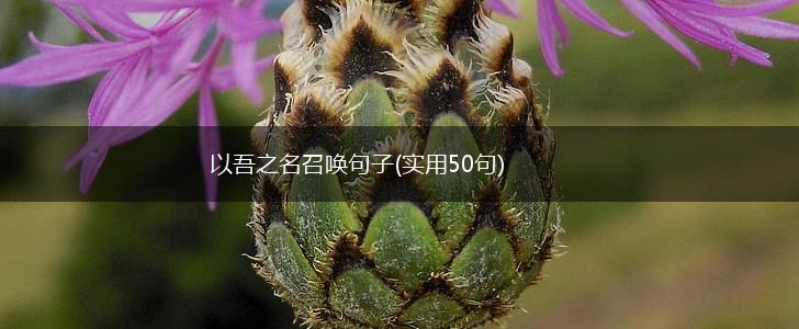 以吾之名召唤句子(实用50句),第1张