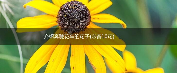 介绍奔驰花车的句子(必备10句),第1张