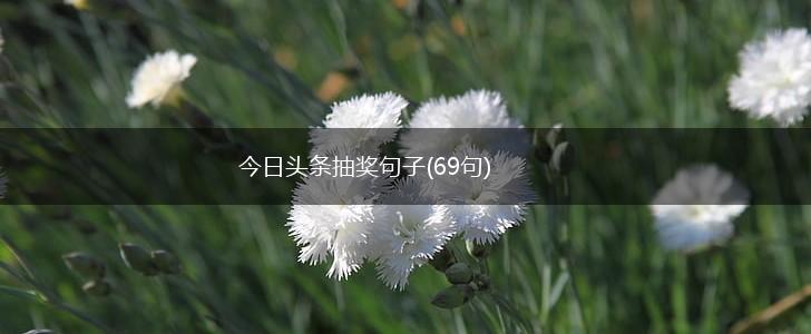 今日头条抽奖句子(69句),第1张