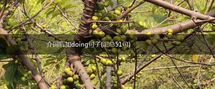 介词后加doing句子(汇总51句),第1张