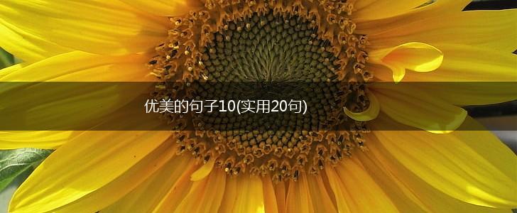 优美的句子10(实用20句),第1张