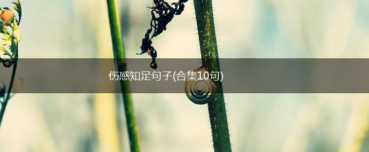 伤感知足句子(合集10句),第1张