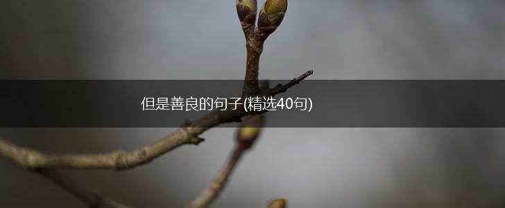 但是善良的句子(精选40句),第1张