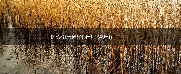 伤心引用易经的句子(49句),第1张