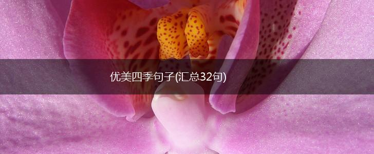 优美四季句子(汇总32句),第1张
