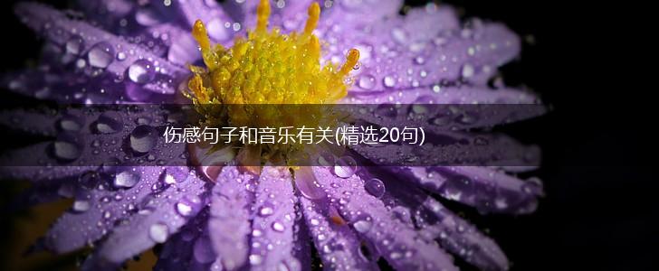 伤感句子和音乐有关(精选20句),第1张